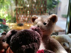 -咖法森林·咖啡  酒吧(天河店)