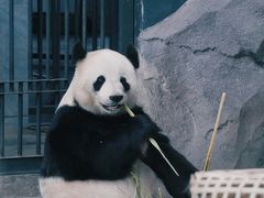 -苏州太湖国家湿地公园