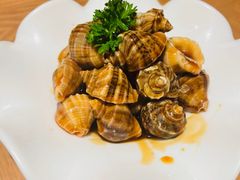-波螺油子·海肠捞饭·青岛菜(银座店)