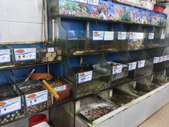 -北港方记海鲜楼·海景餐厅