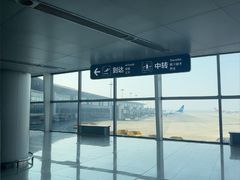 -青岛胶东国际机场
