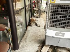 -马陆小张葡萄园农家乐