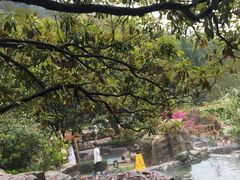 -黄山温泉国际旅游度假区