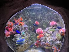 -杭州长乔极地海洋公园