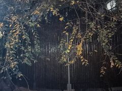 -斯多格书乡(北京大学畅春园店)