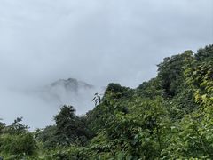 -少华山国家森林公园