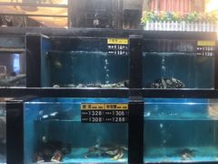 -聚鑫阁江浙菜·非遗传承技艺(青村帝华园店)