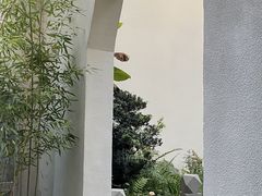 -松云泽