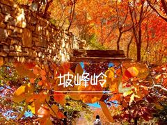 -桔子文创·企业团建·活动策划·拓展会议