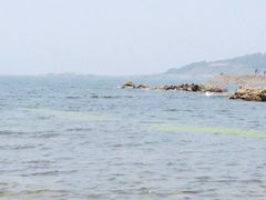 第二海水浴场-青岛第二海水浴场