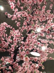 点击看大图 -时尚殿堂明星门店