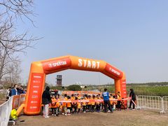 -春花秋色城市公园