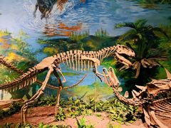 -自贡恐龙博物馆