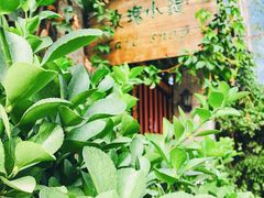 -陶野咖啡·面包披萨