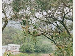 -梅峰山地公园