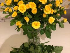 -金陵花卉交易市场