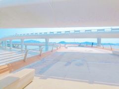 -演武大桥观景平台