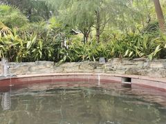 -剑河仰阿莎温泉小镇