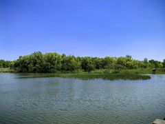 -溱湖国家湿地公园