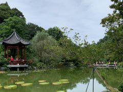 -云溪植物园