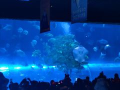 -华夏文旅海洋公园