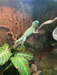 -酷嗒动物文化乐园(cutezoo西溪乐天城店)