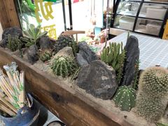 -冷峰马家鸡蛋牛奶醪糟(八朗学五巷店)