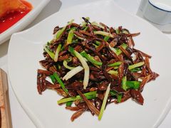 葱爆鸡枞菌-民国红公馆·秦淮八艳(夫子庙店)