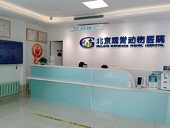 -北京观赏动物医院·24小时大型综合·猫专科·异宠专科