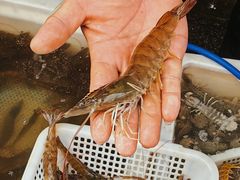 -盛华世家商业广场农贸水产综合批发市场