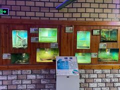 -上海大自然野生昆虫馆(东方明珠·爬宠昆虫探索中心)