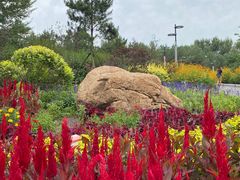 -长春公园(普阳街道)