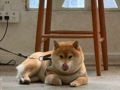 -三目仓咖啡(贤南路店)