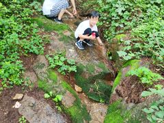 -鲁山国家森林公园