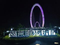 -南京眼步行桥