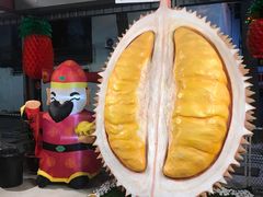 -都念榴莲·城市榴莲