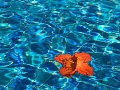 -三亚海棠湾万丽度假酒店