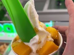 -Salud撒露欧洲冻酸奶(五道口购物中心店)