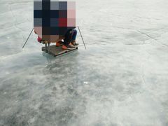 -丁香湖丁香小镇Citypark滑雪公园戏雪嘉年华
