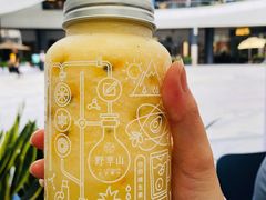 -野萃山·潮汕厚果汁(十亩地店)