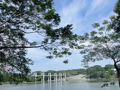 -东莞植物园