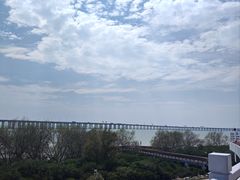 -宝安西湾红树林湿地公园