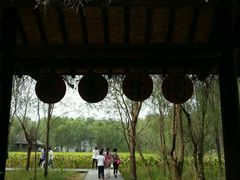 -溱湖国家湿地公园