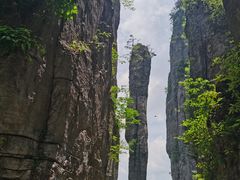 -恩施大峡谷