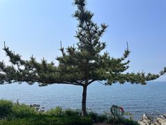 -养马岛旅游度假区