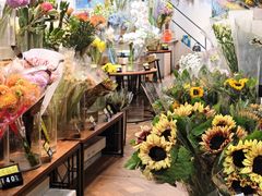 -溪岸路花鸟市场