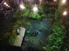 -河坊美食街(河坊街店)