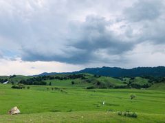 -新疆那拉提国家旅游度假区