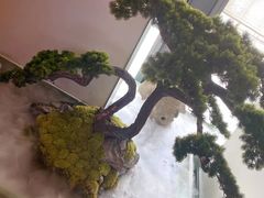 -潮上潮(南中环店)