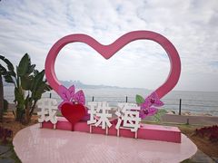 -野狸岛